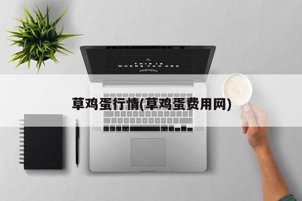 草鸡蛋行情(草鸡蛋费用网)