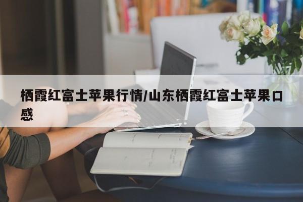 栖霞红富士苹果行情/山东栖霞红富士苹果口感