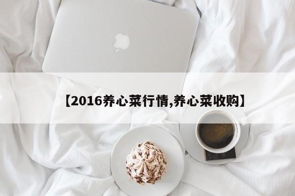 【2016养心菜行情,养心菜收购】