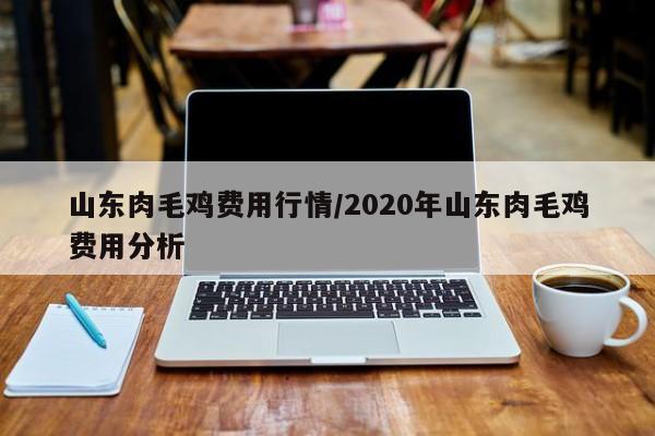山东肉毛鸡费用行情/2020年山东肉毛鸡费用分析