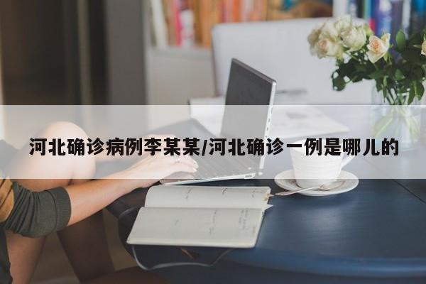 河北确诊病例李某某/河北确诊一例是哪儿的