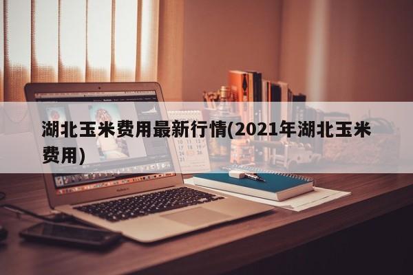 湖北玉米费用最新行情(2021年湖北玉米费用)